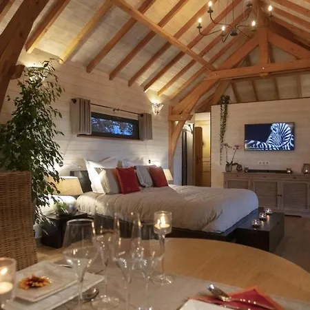 De Prestige Avec Jacuzzi Et Sauna Privatifs * Alzonne
