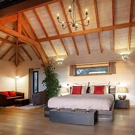 De Prestige Avec Jacuzzi Et Sauna Privatifs 別荘 *